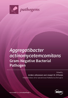 Aggregatibacter actinomycetemcomitans&mdash....jpg