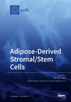 AdiposeDerived_StromalStem_Cells.jpg