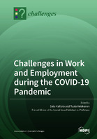 Challenges in Work and Employment during the COVID-19 Pandemic.jpg