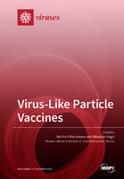 VirusLike_Particle_Vaccines.jpg